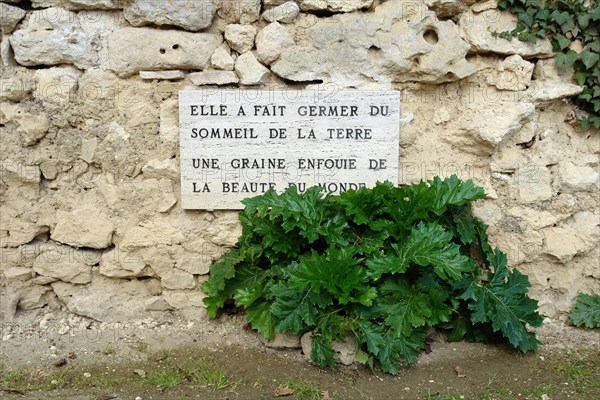 Fouille villa gallo romain de Sèviac