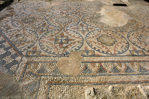 Gaulle-roman excavation villa of Seviac