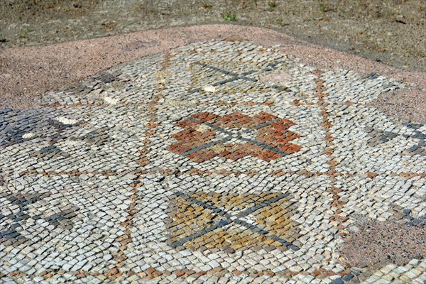 Gaulle-roman excavation villa of Seviac