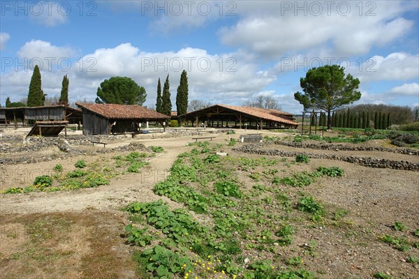 Gaulle-roman excavation villa of Seviac