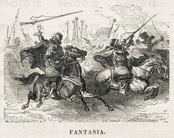 Fantasia. Chevaux. Maghreb. Algérie.