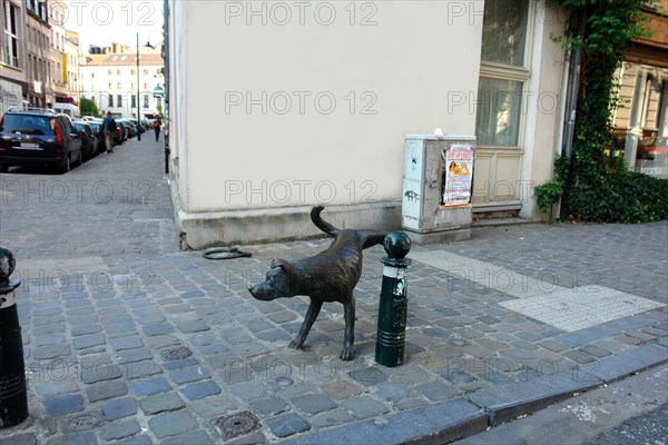 Dog sculpture