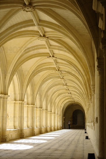 L'abbaye de Fontevraud.