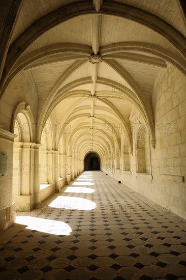 L'abbaye de Fontevraud