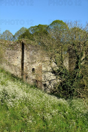 Medieval city of Pouance