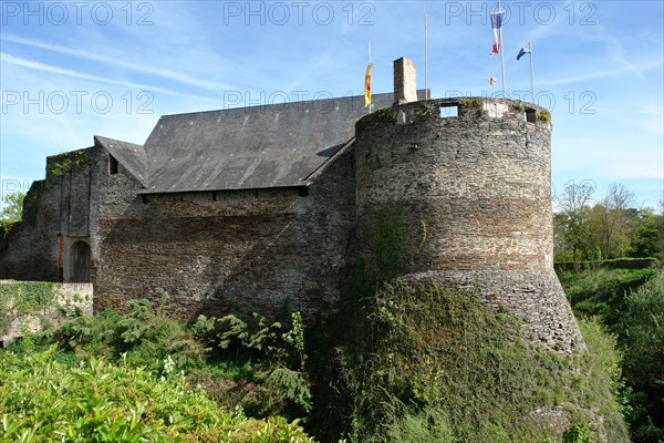 Castle of Plessis Mace