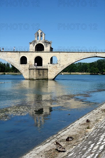 Pont d'Avignon