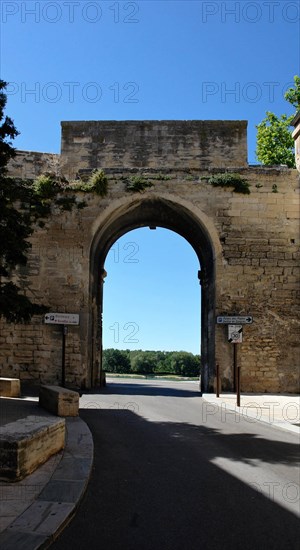 Avignon