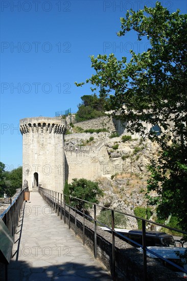 Avignon