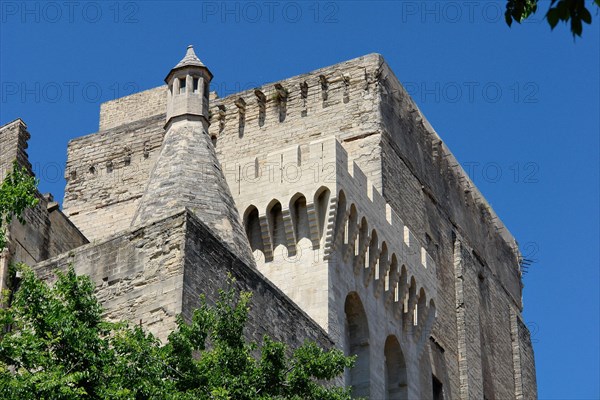 Palais des Papes d'Avignon