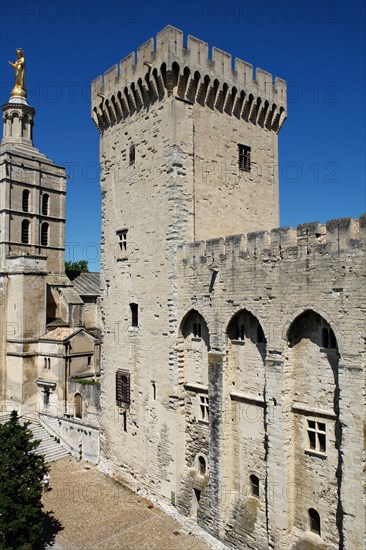 Palais des papes d'Avignon