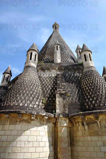 L'abbaye de Fontevraud.