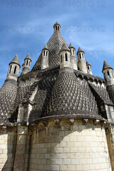 Abbaye de Fontevraud