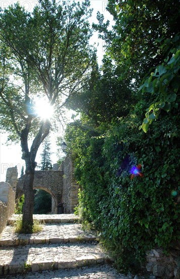 Vaison la Romaine