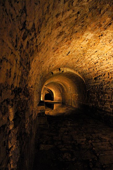 Abbaye de Fontevraud