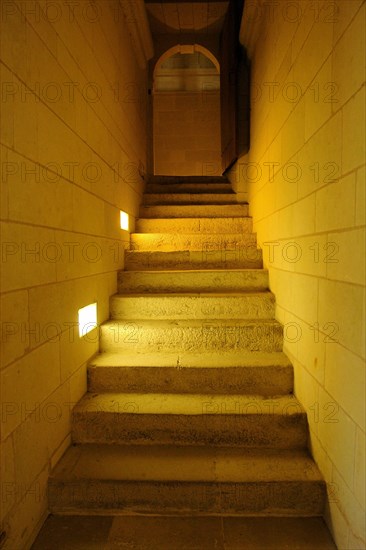 L'abbaye de Fontevraud.