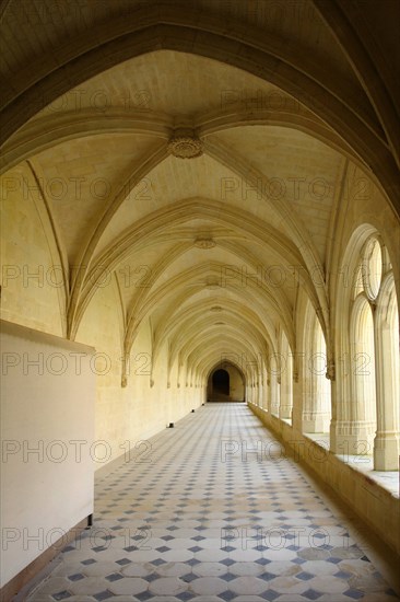 L'abbaye de Fontevraud.