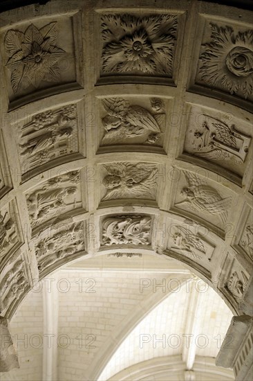 Abbaye de Fontevraud