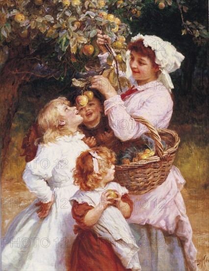 Morgan, Picking Apples