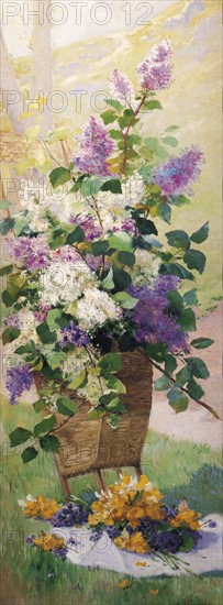 Cauchois, Springtime