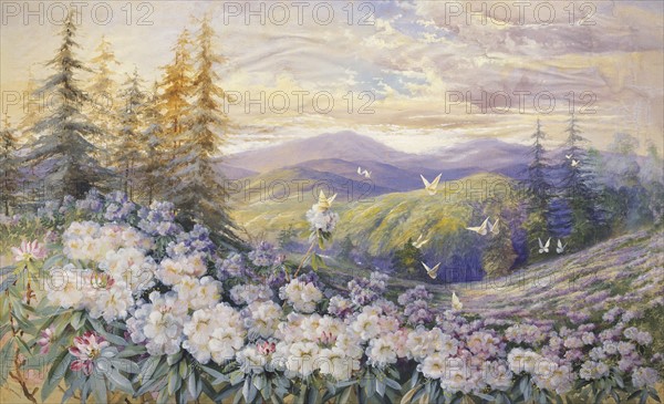 Rowan, Rhododendrons and Butterflies