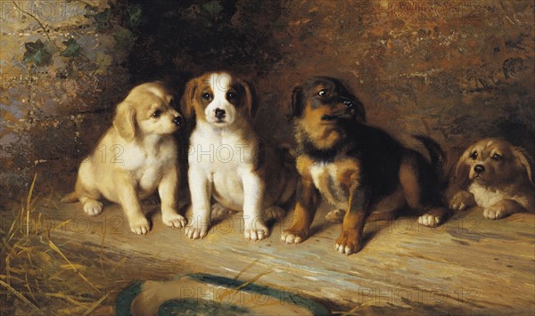 Strutt, Chiots de Race