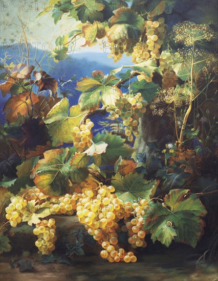 Kreyder, Still Life With Grape