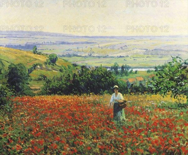 Giran-Max, In the Poppy Field