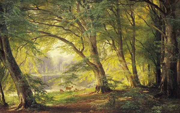 Aagaard, Clairière au Milieu de la Forêt