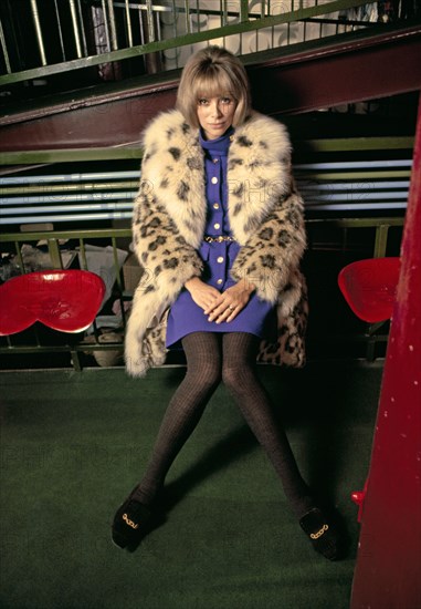 Mireille Darc