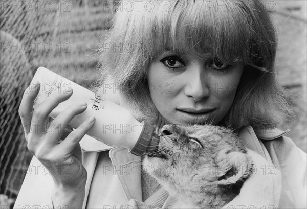 Mireille Darc