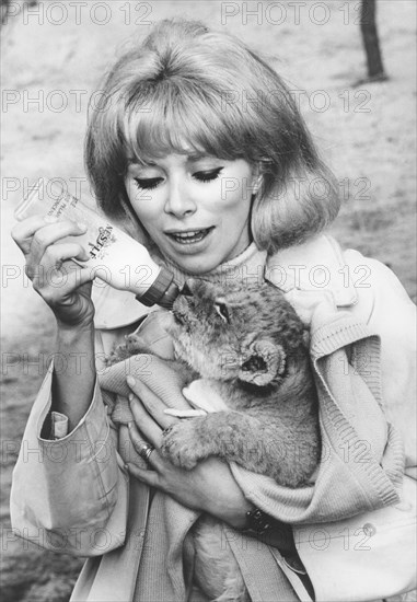 Mireille Darc