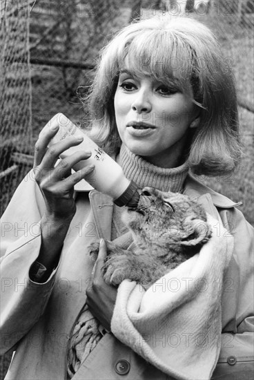 Mireille Darc