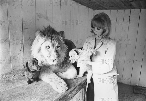 Mireille Darc