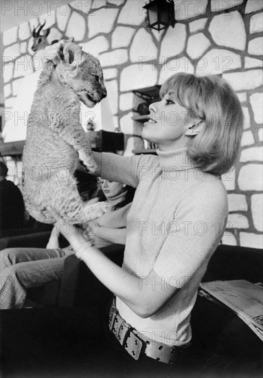 Mireille Darc