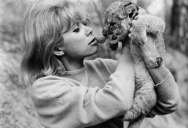 Mireille Darc