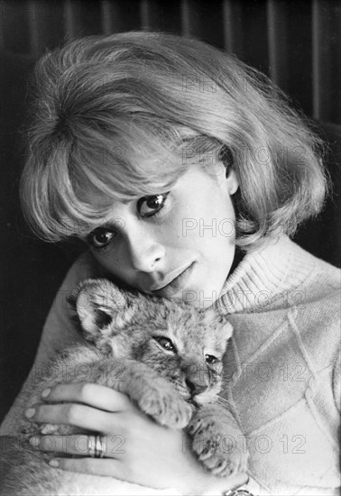 Mireille Darc