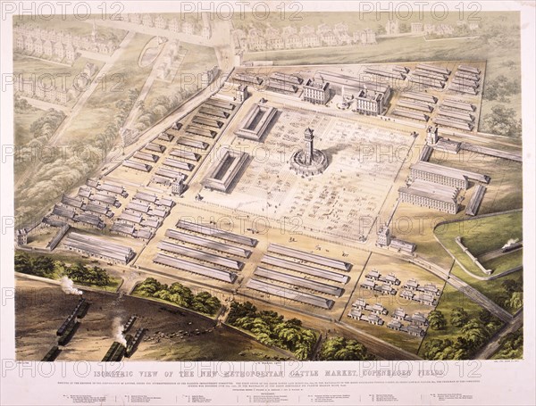 Metropolitan Cattle Market, London, 1855. Artist: King