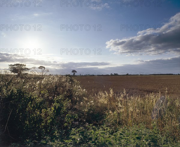 Memorial at Marston Moor, North Yorkshire, 1994