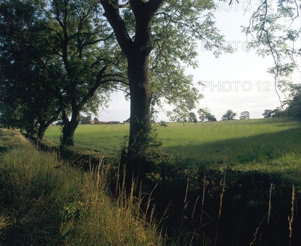 Northallerton Battlefield, North Yorkshire, 1994
