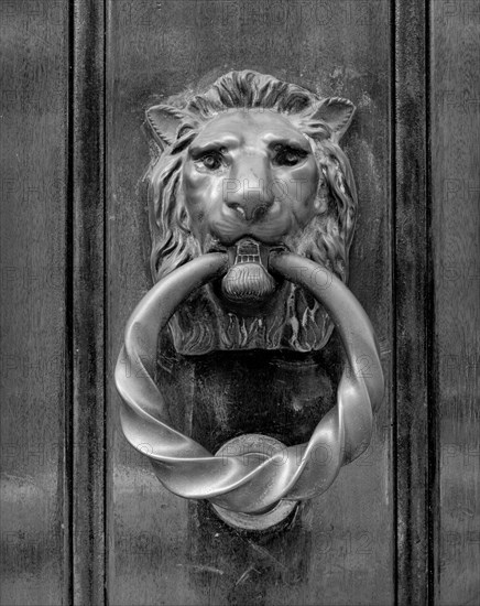 Door knocker in the form of a lion's head, Selwyn House, Cleveland Row, Westminster, London, 1979