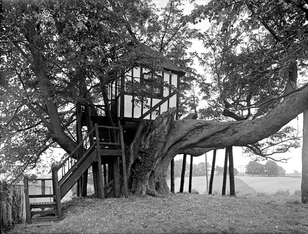 A half-timbered tree house, Pitchford Hall, Shropshire, 1959