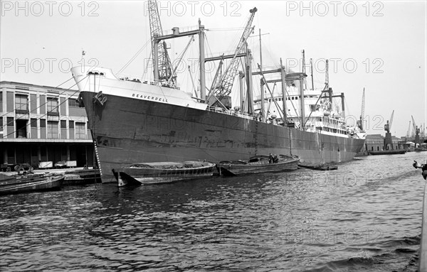 The 'Beaverdell' in the Royal Victoria Dock, Canning Town, London, c1945-c1965