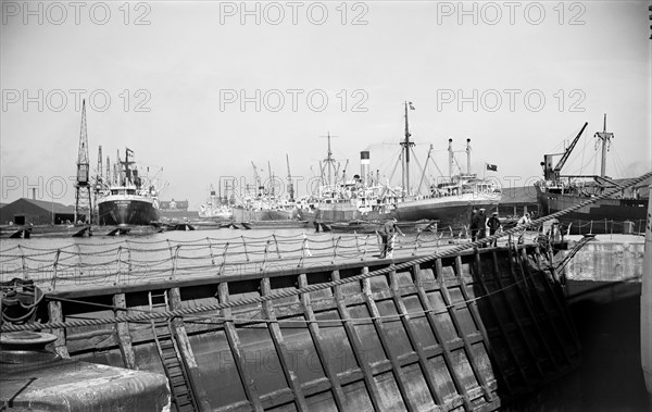 Shipping in the East Branch Dock at Tilbury, Essex, c1945-c1965