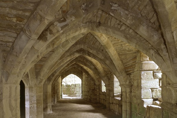 Finchale Priory, Durham, 1999