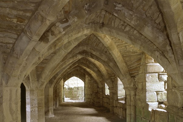 Finchale Priory, Durham, 1999