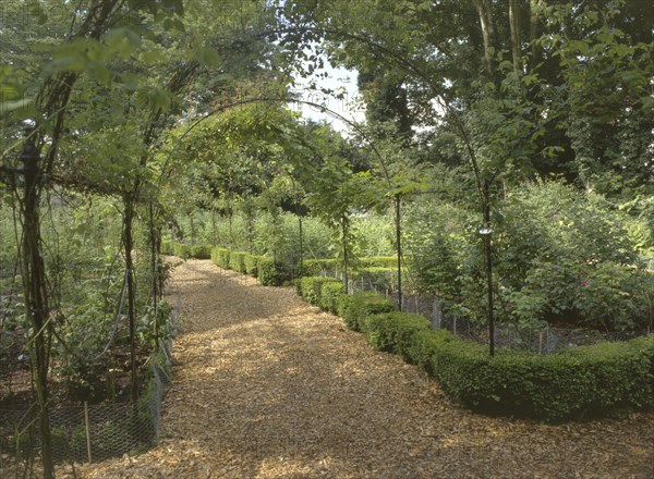 The pergola at Brodsworth Hall, South Yorkshire, 1999