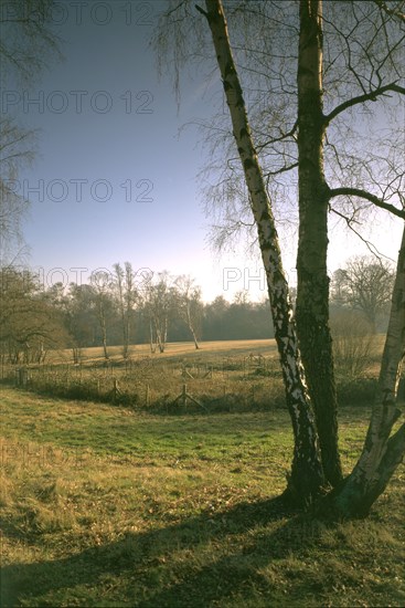 The West Meadow, Kenwood House, Hampstead, London, 1997