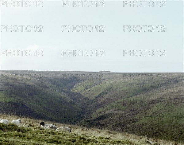 Wood Barrow, Exmoor, Somerset, 1999