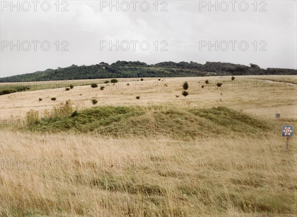 One of a group of almost 30 barrows on Snaildown, Wiltshire, 1999